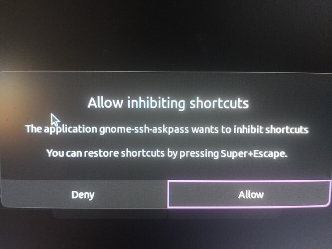 allow_inhibiting_shortcuts