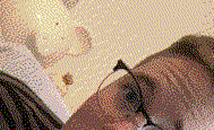 own_algorithm