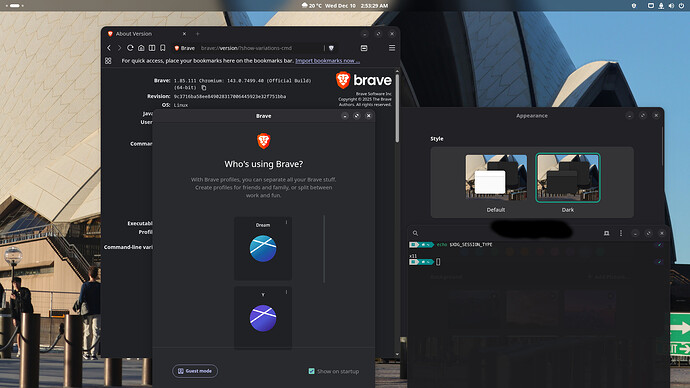 Screenshot (Windowing System X11 xorg)-(Brave) From 2025-12-10 02-53-33