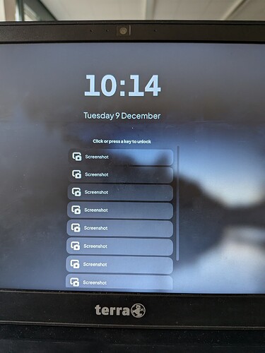 PXL_20251209_091411374.RAW-01.MP.COVER